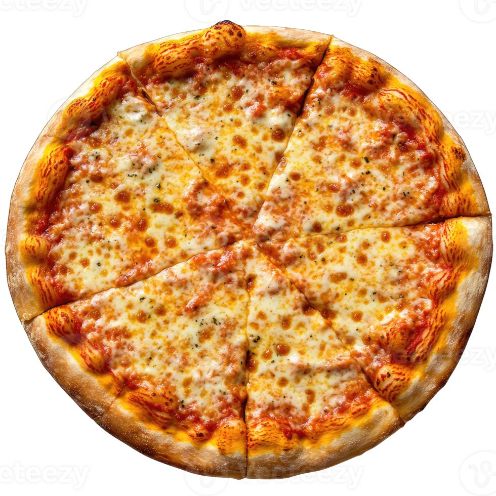 10"  Tuna pizza